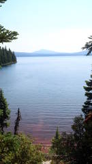 Clear Clear Water At Waldo Lake