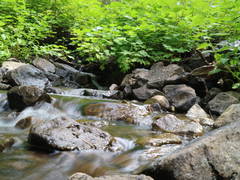 Crooked Creek In Warner Range