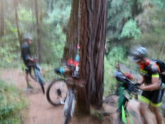 Eugene And Sam On The Salmon Creek Trail In Oakridge