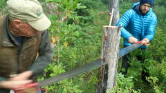 Jim And Sam Work The Crosscut Saw