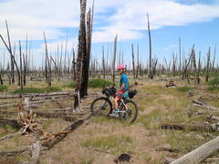 Looking For The Trail On Winter Rim