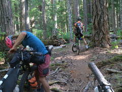 On The Middle Fork Willamette Trail