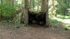 Primitive Shelter