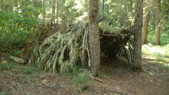 Primitive Shelter2