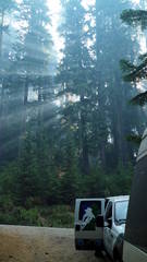 Smokey Beams Of Morning Light