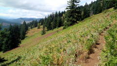 The Trail Near Crescent Mountain
