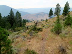 Trail Down To The Chewaucan River