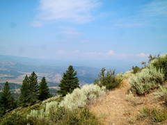 Typical Trail In Warner Range2
