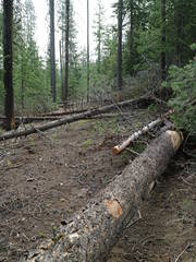 Typical Warner Range Blow-Down2