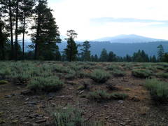 Warner Range Morning